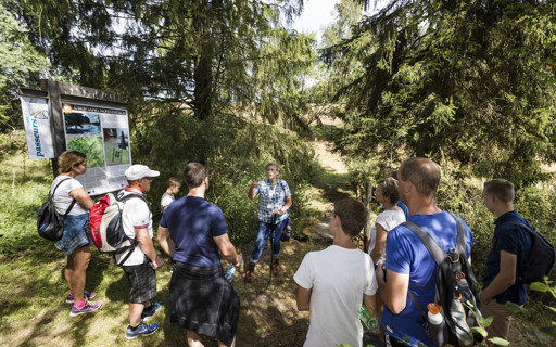 gefuhrte-wanderungen-auf-dem-fluchthelferweg-in-troisvierges-X1VXhl