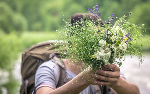 wild-plant-foraging-hike-in-clervaux-xiYyvl