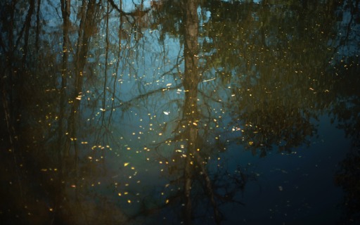 exhibition-opening-annick-wolfers-the-river-always-flows-IJAQwk