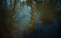 exhibition-opening-annick-wolfers-the-river-always-flows-IJAQwk