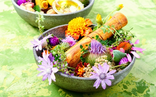 cuisine-aux-herbes-sauvages-QRhfX_