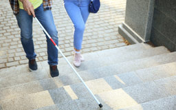 free-training-learn-best-practices-for-welcoming-and-assisting-visually-impaired-or-blind-people-UIXABG