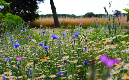 Pacte Nature