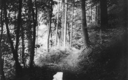 meet-the-artist-marie-capesius-y2E_iu