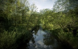 exhibition-opening-ours-by-karin-schmuck-Nv2Su5